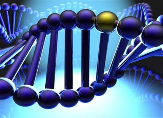 Thám tử điều tra ADN - Công Ty Dịch Vụ Thám Tử  Đại Tín