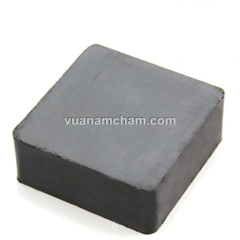Nam châm Ferrite viên 50x50x20mm