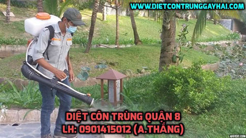 Dịch vụ diệt côn trùng - Việt Thành Pest Control - Công Ty TNHH Thương Mại Dịch Vụ Kiểm Soát Côn Trùng Việt Thành