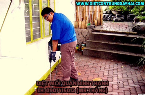 Dịch vụ phòng chống mối - Việt Thành Pest Control - Công Ty TNHH Thương Mại Dịch Vụ Kiểm Soát Côn Trùng Việt Thành