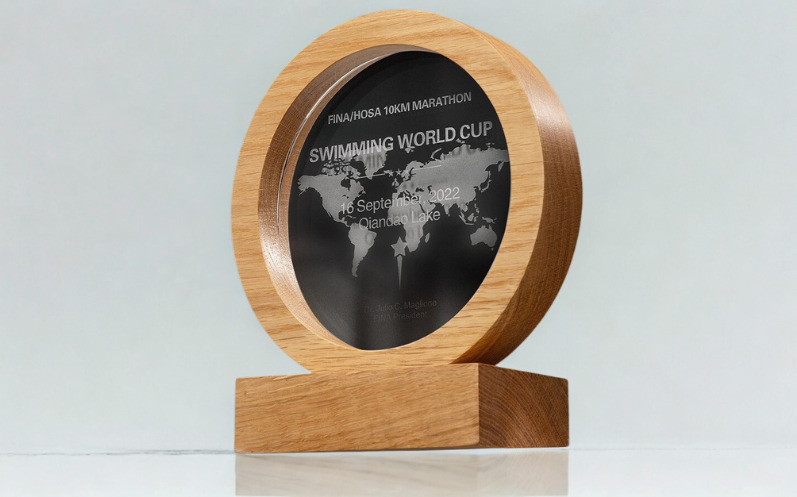 Kỷ niệm chương GB38