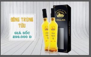 Công Ty TNHH BIO SUN