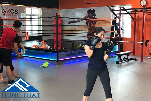 Dự án phòng tập Lykos KickFiness