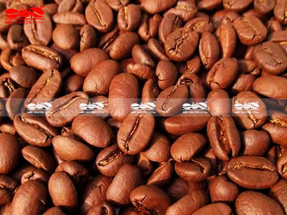 Cà phê hạt Arabica - Công Ty TNHH Cà Phê Mộc Nguyên