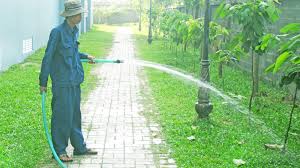 Dịch vụ tưới cây - Cây Xanh Miền Nam - Công Ty TNHH Vệ Sinh Cây Xanh Miền Nam