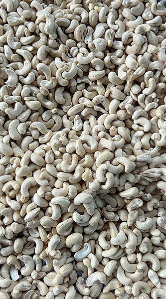 Hạt điều nhân