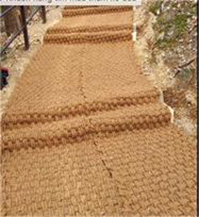 Thảm xơ dừa - Xơ Dừa Sao Nam Sài Gòn - Công Ty TNHH Sao Nam Sài Gòn