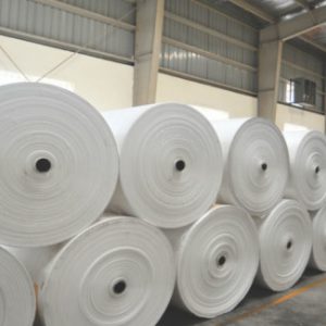 Vải PP dệt