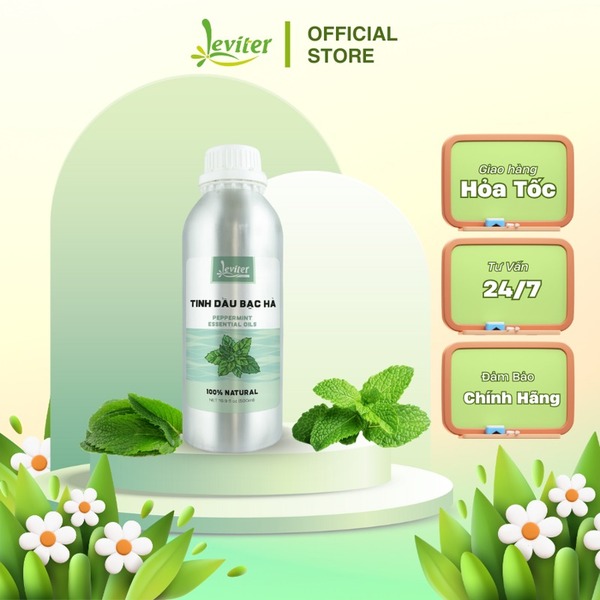 Tinh dầu bạc hà 500ml Leviter