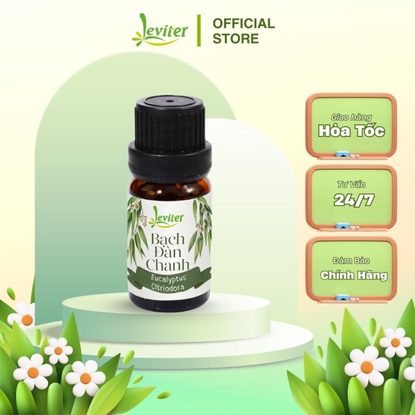 Tinh dầu bạch đàn chanh 10ml