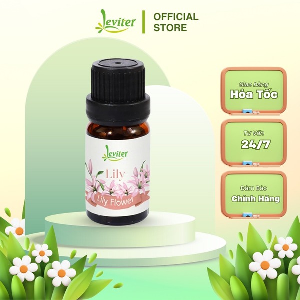Tinh dầu Leviter hoa lily 10ml - 100ml