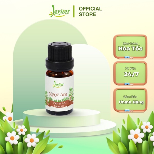 Tinh dầu ngọc am Leviter 10ml - 100ml