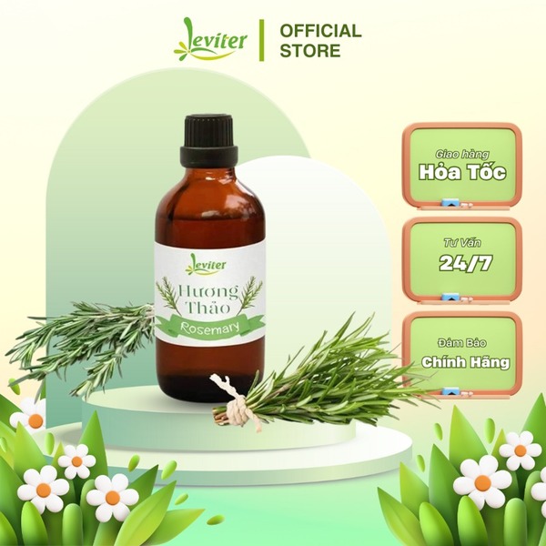 Tinh dầu tự nhiên hương thảo Leviter