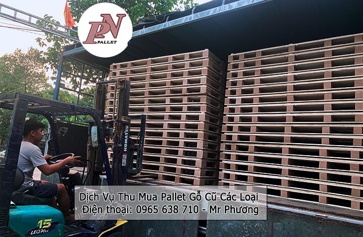 Dịch vụ cho thu mua pallet gỗ cũ giá cao - Pallet Phương Nam - Công Ty Pallet Phương Nam