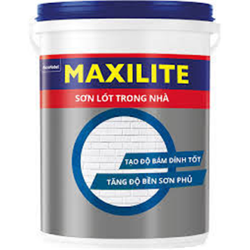 Sơn Maxitite