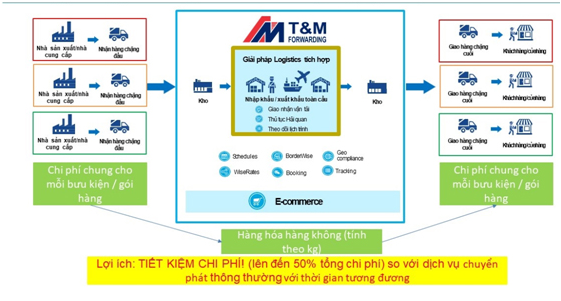 Dịch vụ vận tải - Công Ty TNHH T&M Forwarding Chi Nhánh Hà Nội