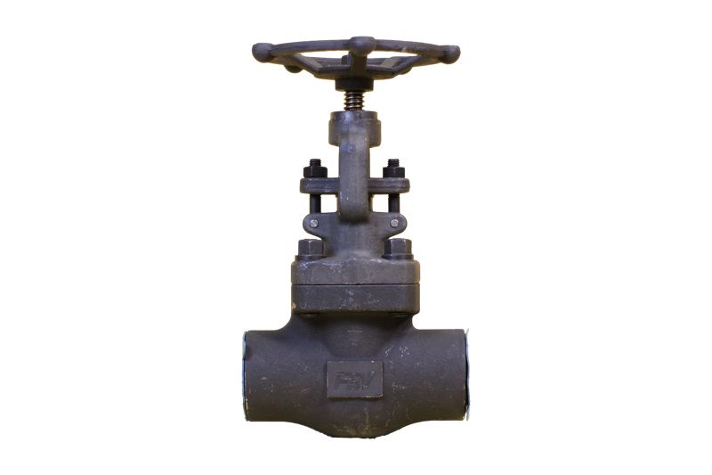 Van cầu thép rèn 800lb