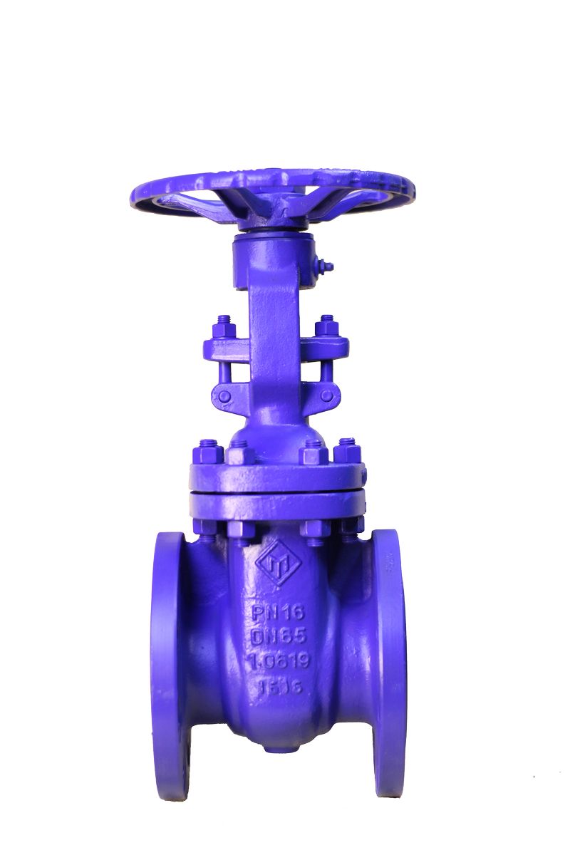 Van cổng Etm nối bích ty nổi Pn16