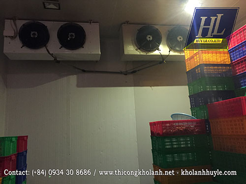 Kho lạnh - Kho Lạnh Huy Lê - Công Ty TNHH Thương Mại Dịch Vụ Kỹ Thuật Huy Lê