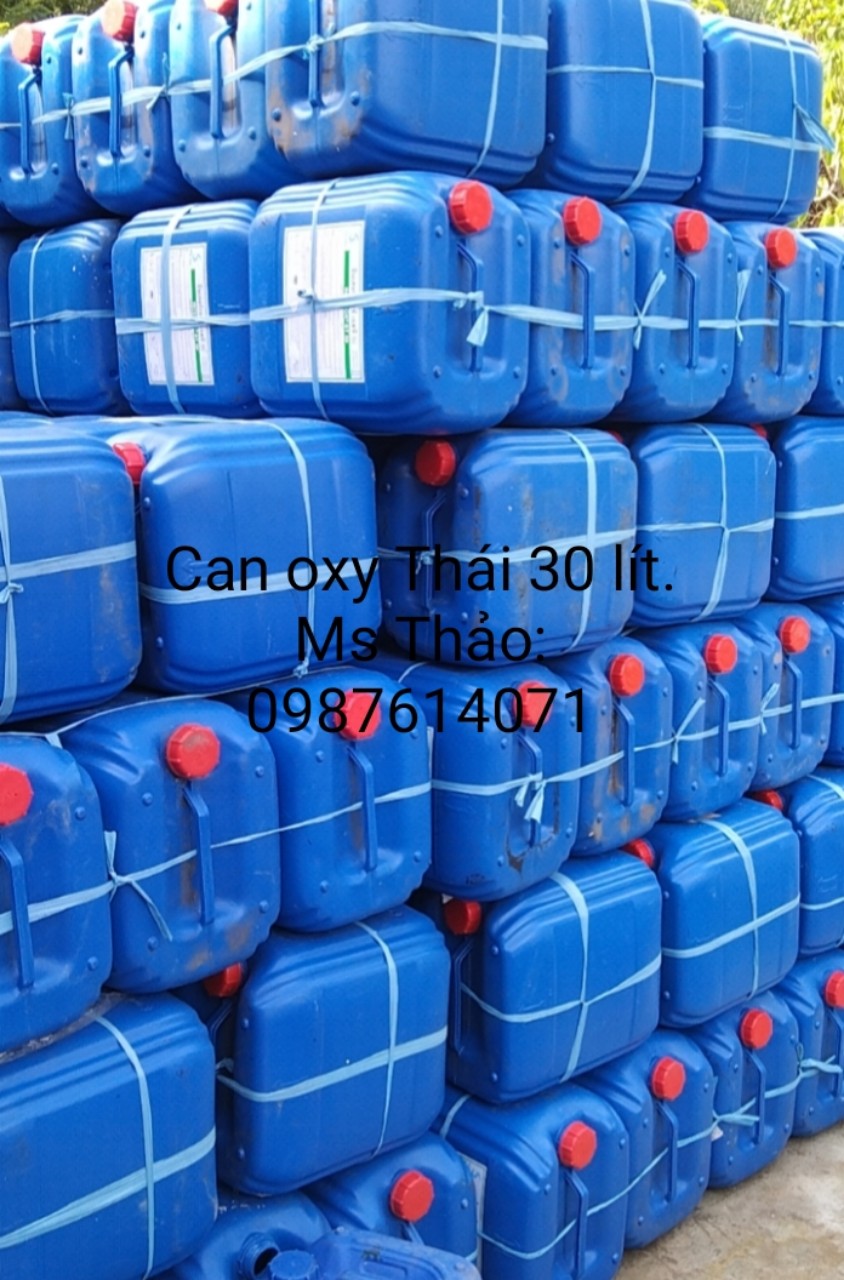 Can nhựa
