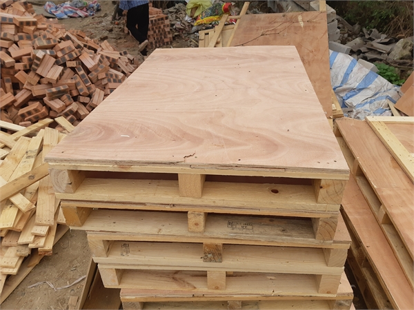 Đóng pallet gỗ