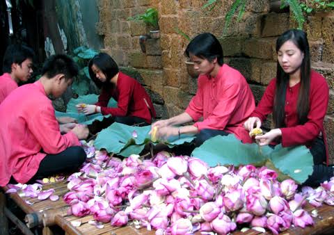 Hình ảnh sản xuất - Trà học viên Quân Y - Công Ty Huyền Thoại Việt