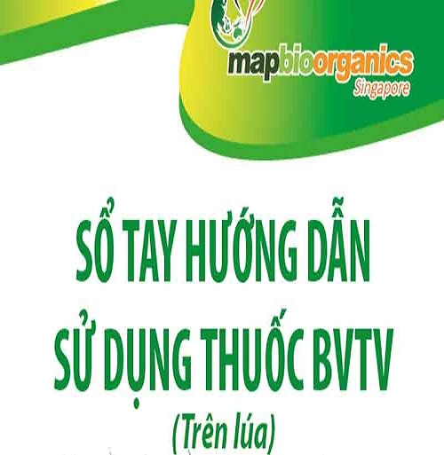 In catalogue - Thiết Kế In Ấn Minh Việt - Công Ty TNHH Thiết Kế In Ấn Minh Việt