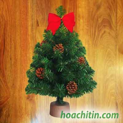 Công Ty TNHH Hoa Chí Tín