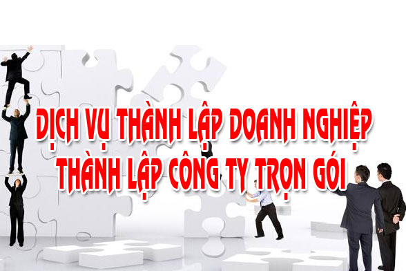 Tư vấn TLDN một thành viên - Công Ty TNHH Tư Vấn IPNG