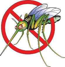 Dịch vụ diệt côn trùng - Công ty TNHH Đầu Tư Thương Mại Và Phát Triển Dịch Vụ Trung Thành