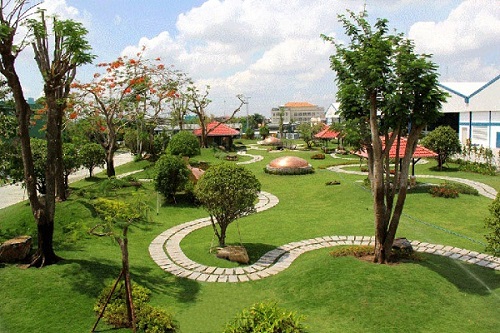 Cây công trình - Cây Xanh Minh Phương - Công Ty TNHH Cây Xanh Minh Phương