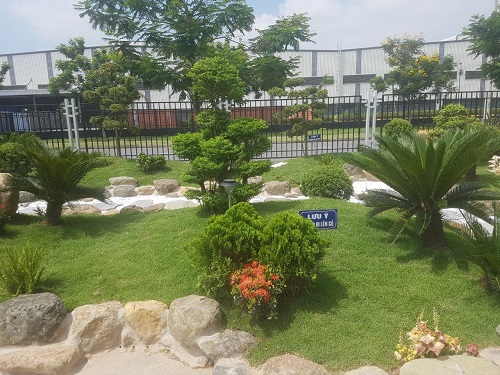 Cây công trình - Cây Xanh Minh Phương - Công Ty TNHH Cây Xanh Minh Phương