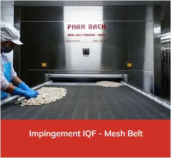 IQF tác động - Đai lưới