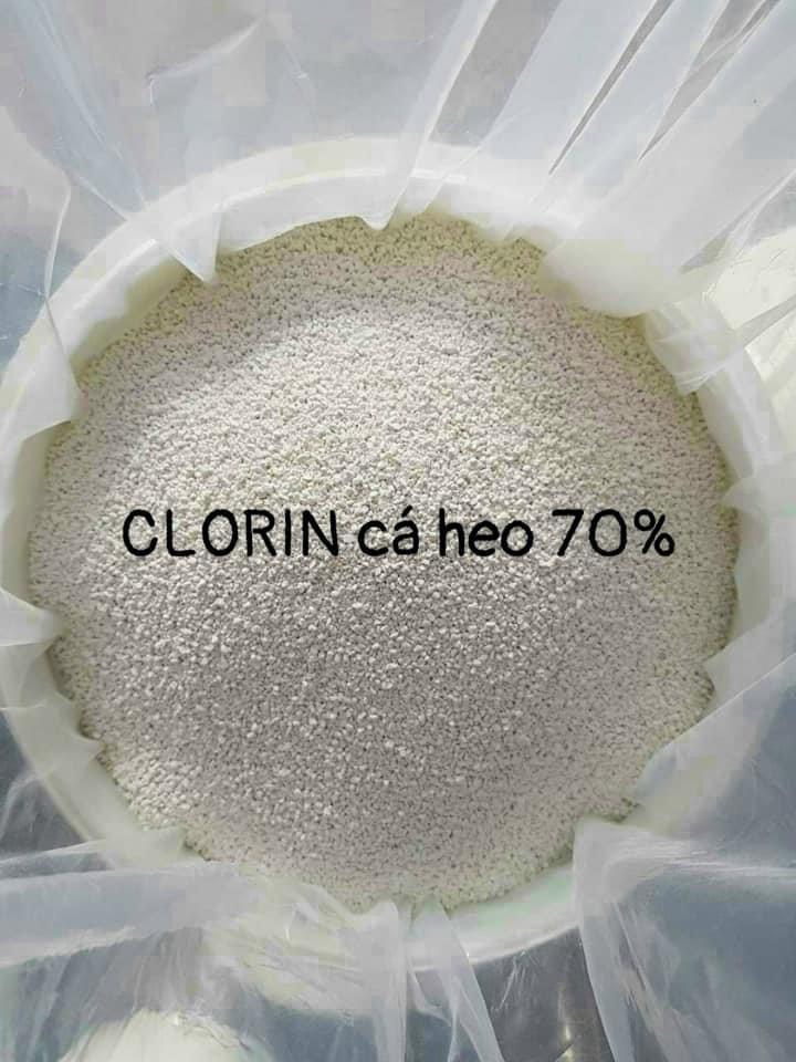 Clorin cá heo 70%