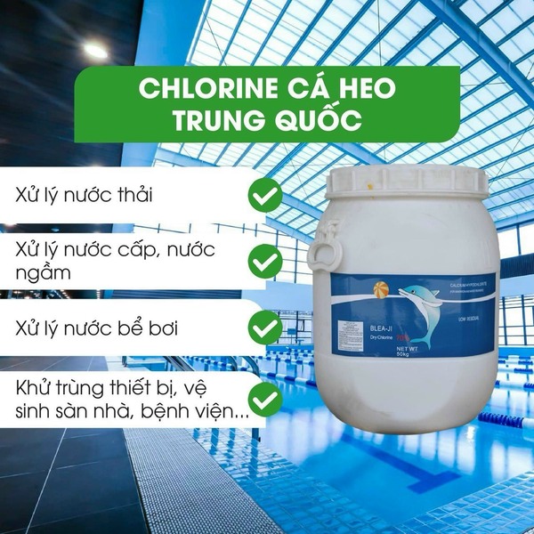 Chlorin cá heo Trung Quốc - Hóa Chất Xử Lý Nước - Nước Thải Quốc Huy - Công Ty TNHH Môi Trường Quốc Huy