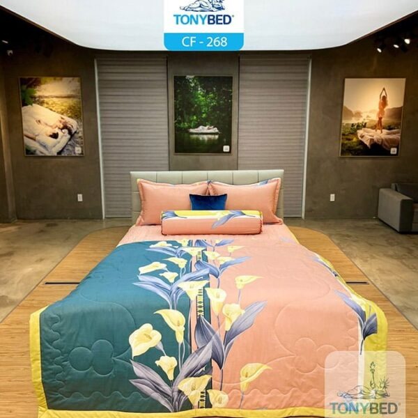 Bộ Drap ga trải giường cotton - CF268