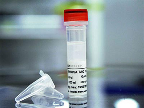 Hóa chất PCR - Công Ty TNHH MTV Sinh Hóa Phù Sa