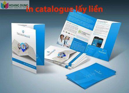 In catalogue