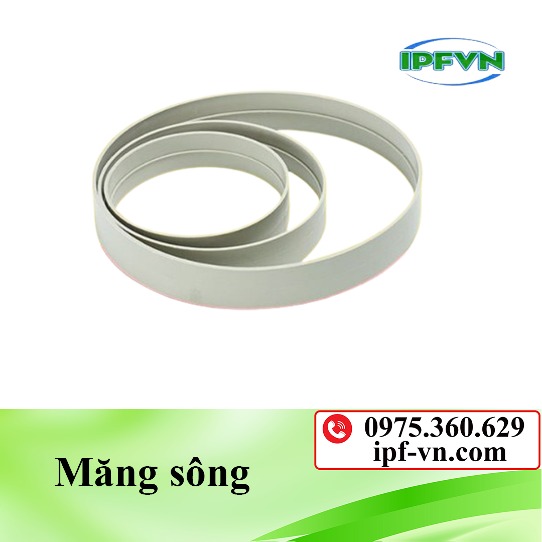 Măng sông