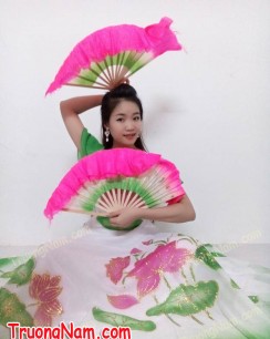 Trang phục biểu diễn