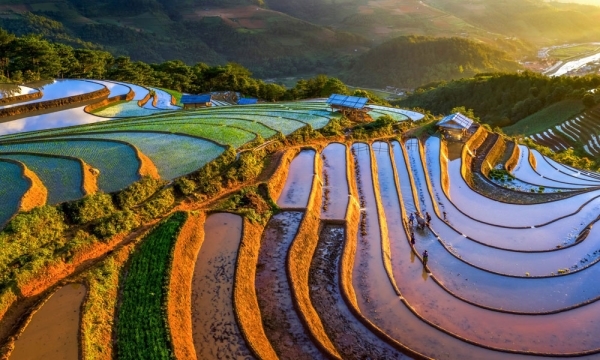 Tour Mù Cang Chải - Trạm Tấu