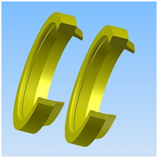 Phốt chắn bụi C 421 or D 421