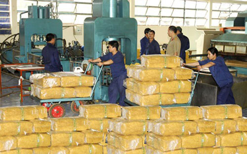 Xuất khẩu cao su thô