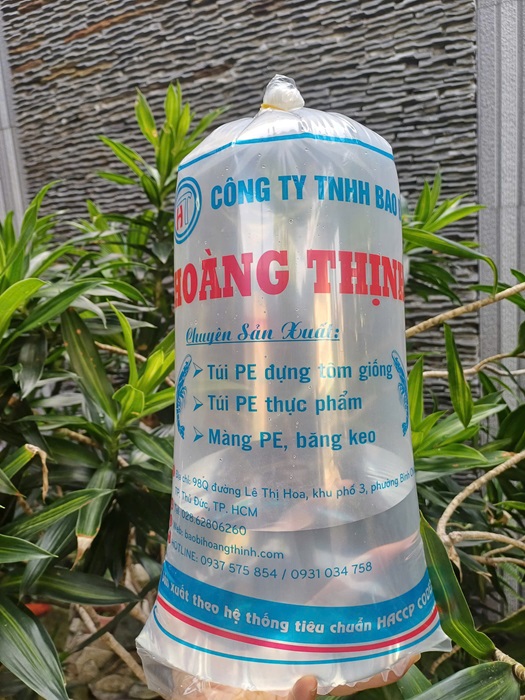 Túi đựng tôm giống - Bao Bì Hoàng Thịnh - Công Ty TNHH Bao Bì Hoàng Thịnh