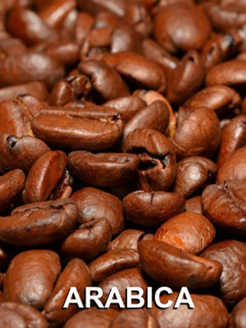 Hạt cà phê Arabica - Organic Coffee Bean - Công Ty TNHH Việt Nam Organic Coffee Bean