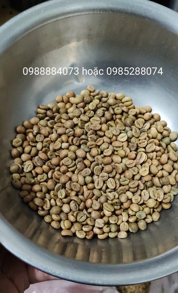 Cà phê hạt - Công Ty TNHH Việt Nam Organic Coffee Bean