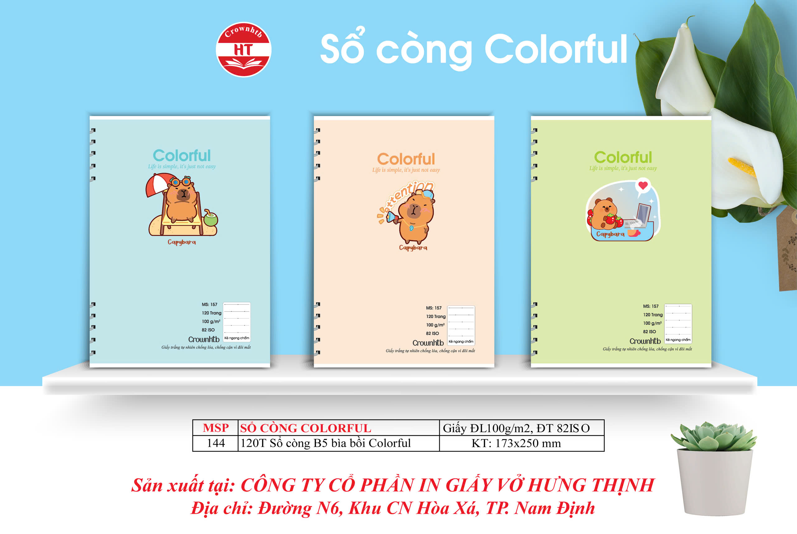 Sổ Còng Colorful