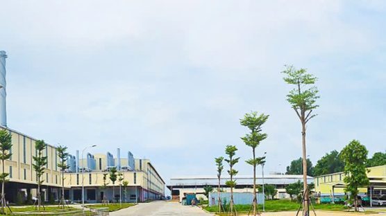 Xây dựng hệ thống quản lý chất lượng tại nhà máy Găng tay y tế xanh