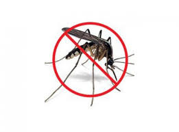 Dịch vụ diệt muỗi - Diệt Côn Trùng Quang Minh - Công Ty TNHH Thương Mại Công Nghiệp Quang Minh