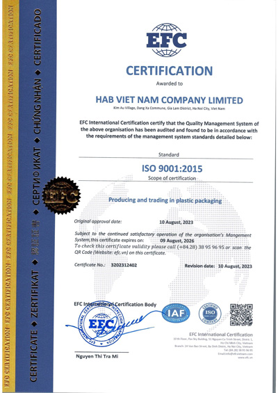 ISO 9001:2015 - Vật Liệu Đóng Gói HAB - Công Ty TNHH HAB Việt Nam